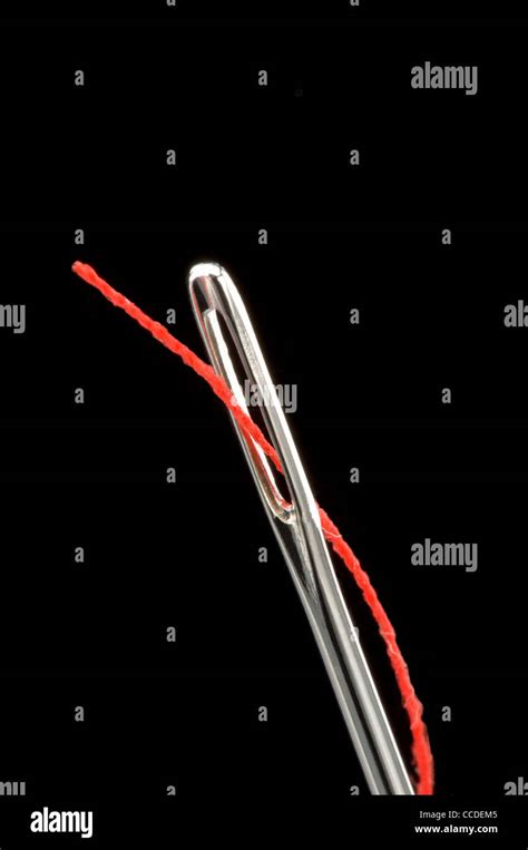 Sewing Needle With Red Thread Stock Photo Alamy