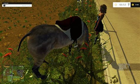 Equestrian Woman V2 • Farming Simulator 19 17 22 Mods Fs19 17 22 Mods