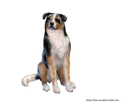 Blue Ancolia Sims Pets Sims 4 Pets Pets