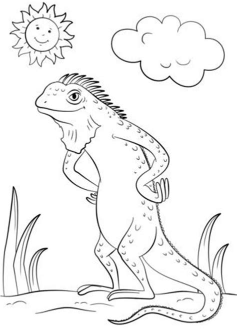 Desenho De Iguanas Para Colorir