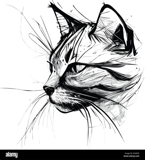 Vector Hand Drawn Illustration Of A Cat Head Stock Vector Image And Art