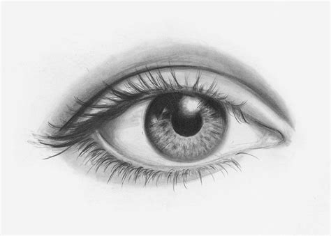 Draw Facial Features With This In Depth Beginners Guide Eye
