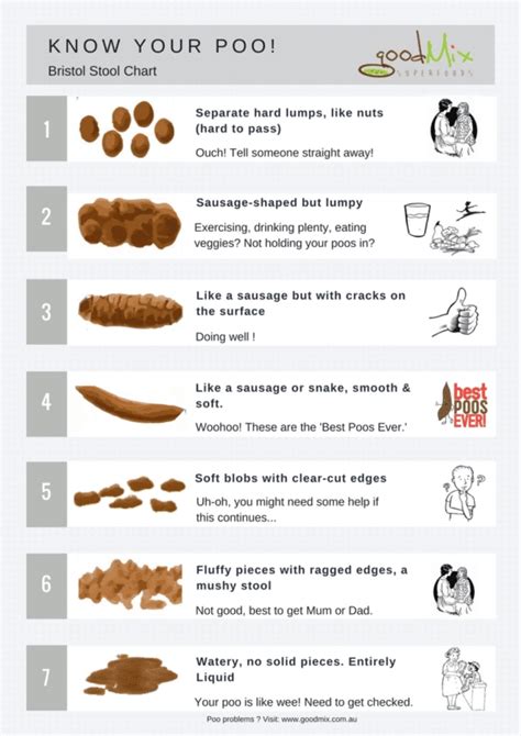 6 Images Bristol Stool Chart For Kids And View Alqu Blog