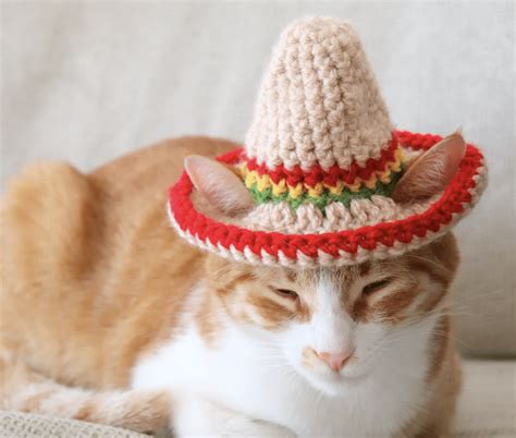13 adorable crochet cat hat patterns easy crochet patterns