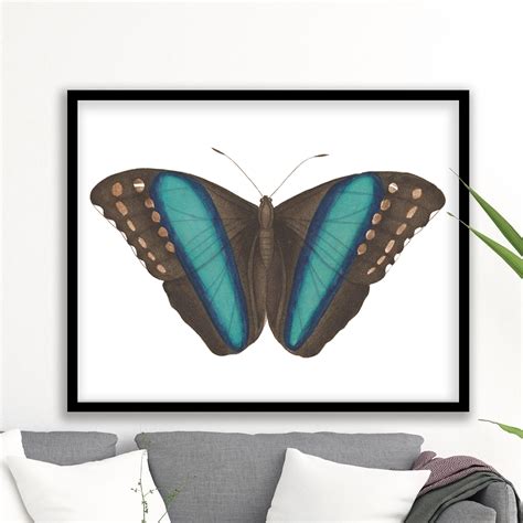 Vintage Butterfly 17 Painting Framed Ready To Hang Wall Art Art Painting Framed Wall Art