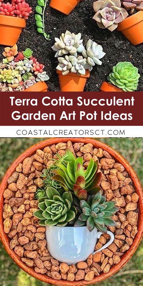 With Some Basic Supplies Like Terra Cotta Pots Spanish Moss Pea