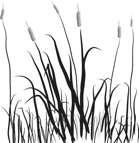Cattails Clipart Cattail Clip Grass Silhouette Cat Drawing Swamp Tails