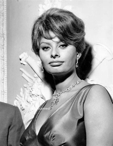 sophia loren sexy gorgeous old hollywood glamour rare candid 8x10 photograph 49 99 picclick
