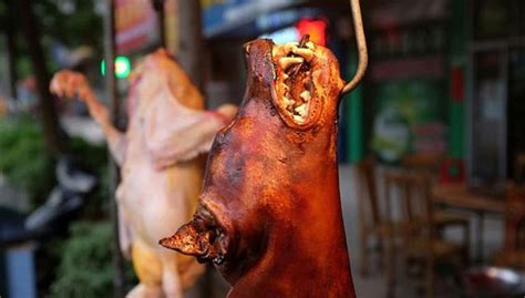 Home Of Chinas Dog Meat Festival Defiant Amid Outcry Free Malaysia