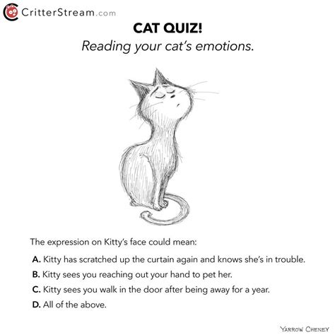 Cat Quiz Cats Quiz Cat Art