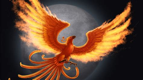 When it dies, the bird bursts into flames and is reborn from its ashes, making it immortal. Phoenix Bird Wallpapers (80+ images)