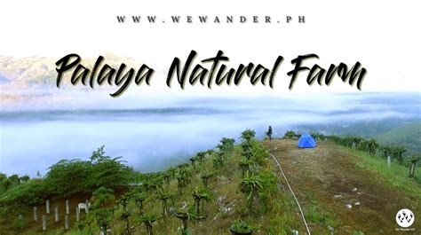 Palaya Natural Farm We Wander Ph