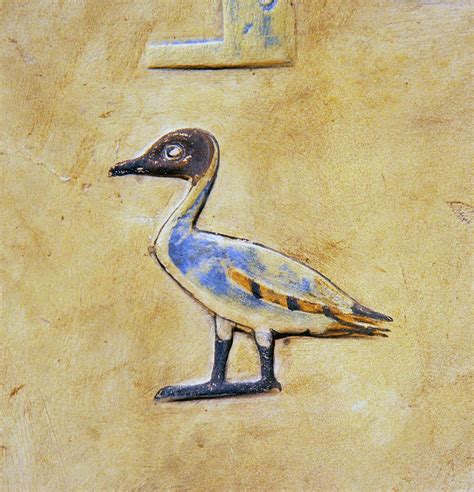 Plusieurs Oiseaux Des Arbres De Vie Birds In Ancient Egyptian Art