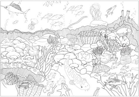 Desenhos Do Fundo Do Mar Para Colorir Gr Tis