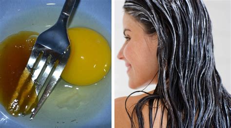 Aug 21 2009 at 5:01pm. Honey, Egg, Coconut Oil Hair Mask Overnight Are An ...