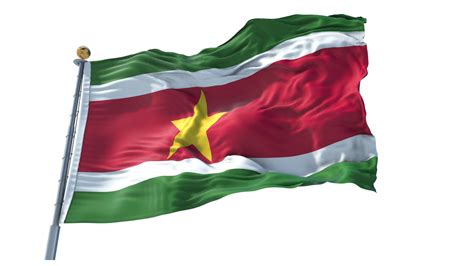 Suriname Flagga Png 12300984 Png