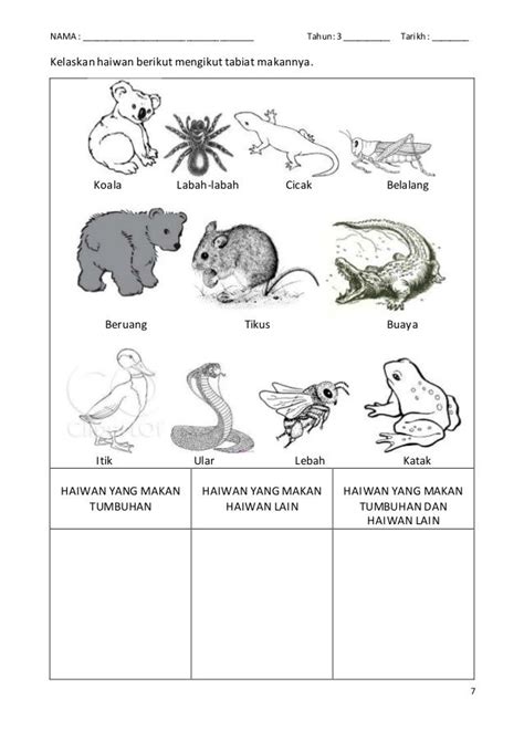 Lembaran Kerja Latihan Sains Tahun 3 Gigi Latihan Dst Tahun 3 Riset