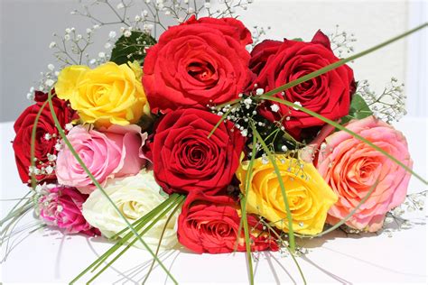 Rose Flower Bouquet Images Free