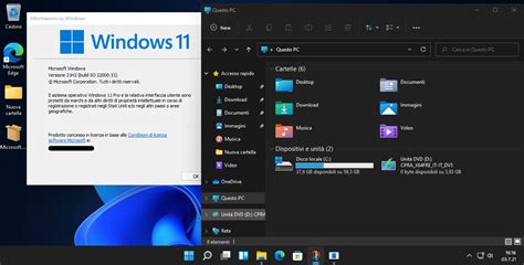 Windows 11 Multi Window