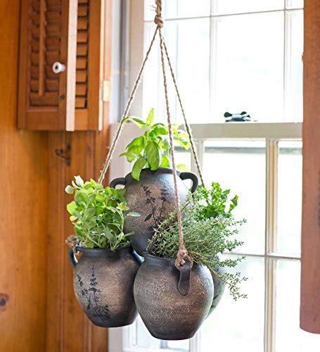 Easy 11 Steps To Container Herb Gardening For Beginners