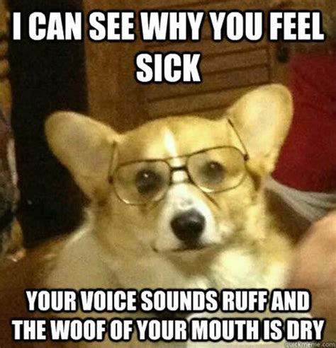 40 Hilarious Memes About Being Sick Sick Meme