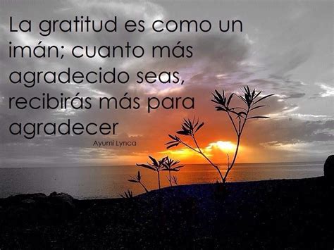 〽️ La Gratitud Es Como Un Iman Con Imágenes Gratitud Frases