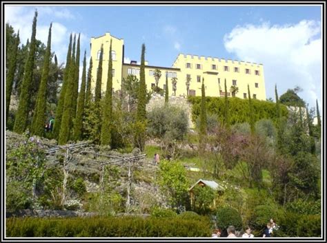 Von alpinen über mediterrane bis hin zu exotischen pflanzen hat der botanische garten in meran alles zu bieten, was naturfreunde begeistert. Eintritt Botanischer Garten Meran - garten : House und ...