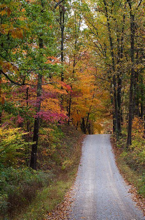 Fall In Southern Indiana By Melissa Wyatt In 2019 Nature Photography