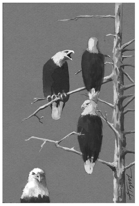 The Outside Story How Bald Eagles Weather Winter Addison Independent