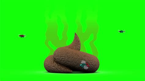 Smelly Poop With Flies 3d Animation In Cartoon Style Green Screen