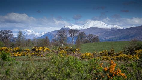 Ben Lomond With Late April Snow Bob Shand Flickr