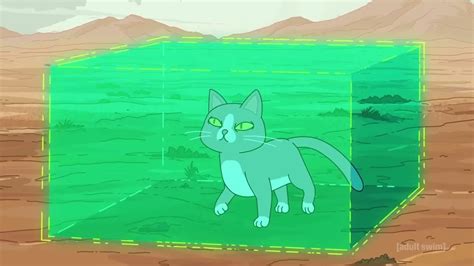 Why Can The Cat Talk In Rick And Morty The Us Sun