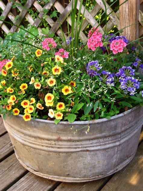 21 Flowering Container Garden Plants For Sunny Spots Fancydecors
