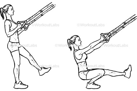 Trx Pistol Single Leg Squats Workoutlabs Exercise Guide