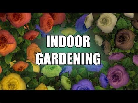 In this guide i'm going to cover how to unlock and recruit squadron members, as well as what you should be looking. FFXIV Flower Pots & Indoor Gardening Guide - YouTube | Flower pots, Flowers, Vase