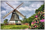 Windmühle in Worpswede Foto & Bild | deutschland, europe, niedersachsen ...