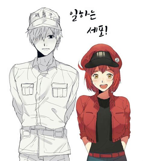 Cells At Work White Blood Cell X Red Blood Cell
