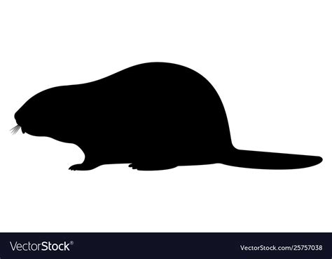 Black Silhouette A Beaver Royalty Free Vector Image