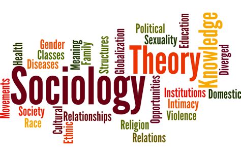 Sociology — The Root Of Our Society By Yanchi Liu Medium