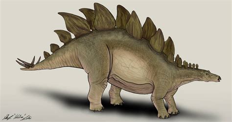 The Lost World Jurassic Park Stegosaurus By Nikorex On Deviantart