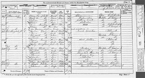 1871 Uk Census Source