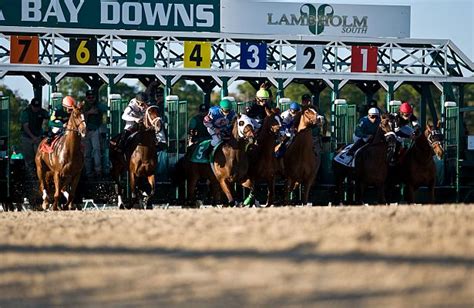 Handicapping champion jonathon kinchen has revealed his tampa bay downs pick 4 ticket for wednesday. Tampa Bay Downs Sponsors Online Handicapping Contest