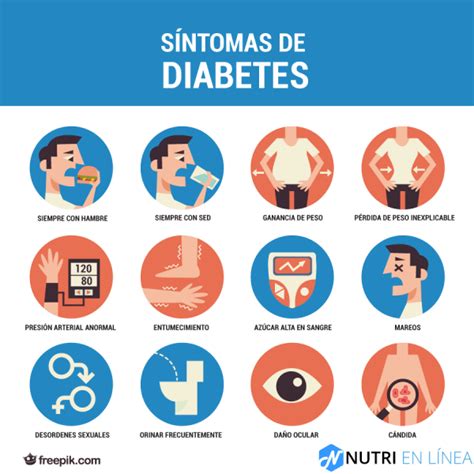 Diferencias Entre Prediabetes Y Diabetes Lo Que Debes Saber