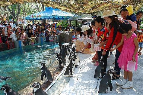 Dusit Zoo Is One Of The Very Best Things To Do In Bangkok