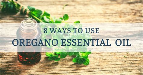 Oregano Essential Oil Benefits Including Colds Warts Skin Tags And More