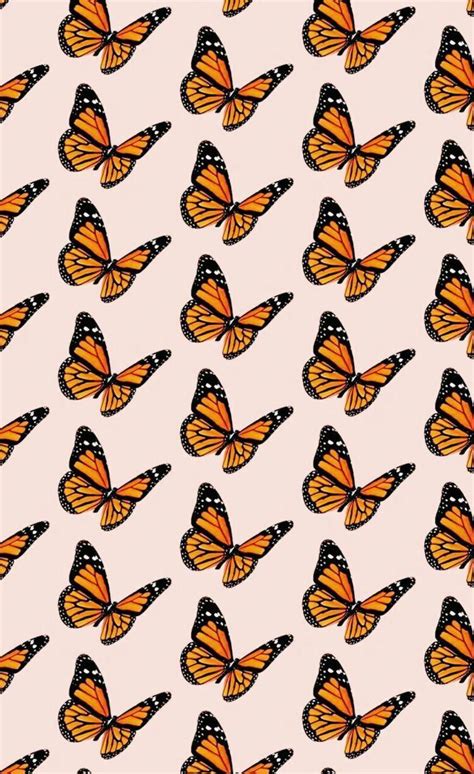 Cute Yellow Butterflies Wallpapers Top Free Cute Yellow Butterflies