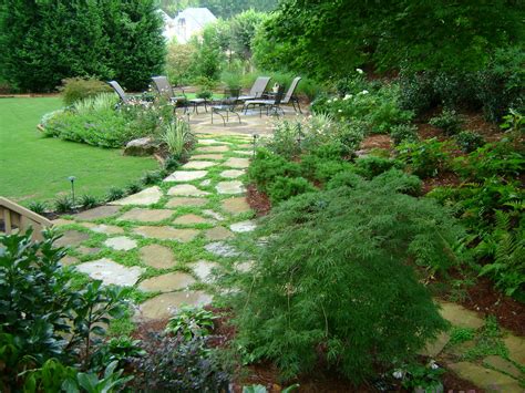 Flagstone Walkway With Mazus And Blue Star Creeper Groundcover May