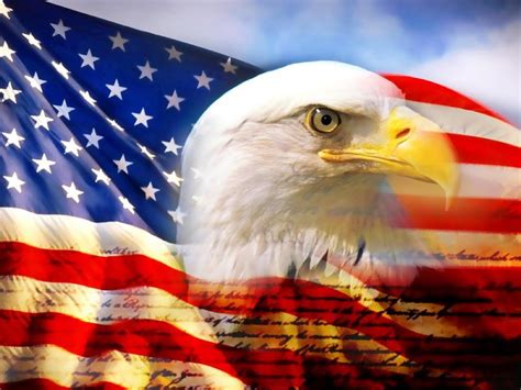 Once you are done, you can play around with an array of 3d, screen resolution, and tiling options available, and choose one that. Bald Eagle Wallpaper High Resolution - WallpaperSafari
