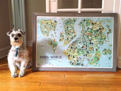 Dogs Of The World Map 36x24 Poster Etsy