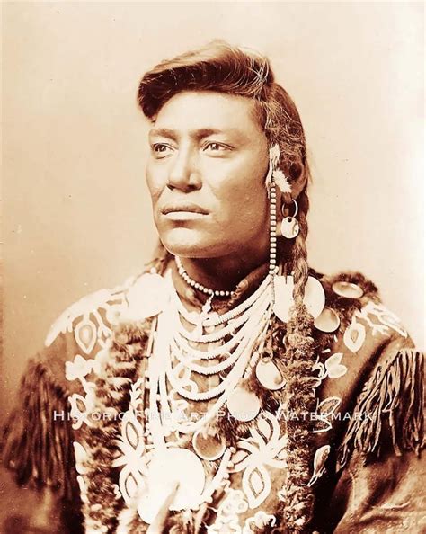 Chief Little Head Crow Indian 1880s Native American Beauty Crow